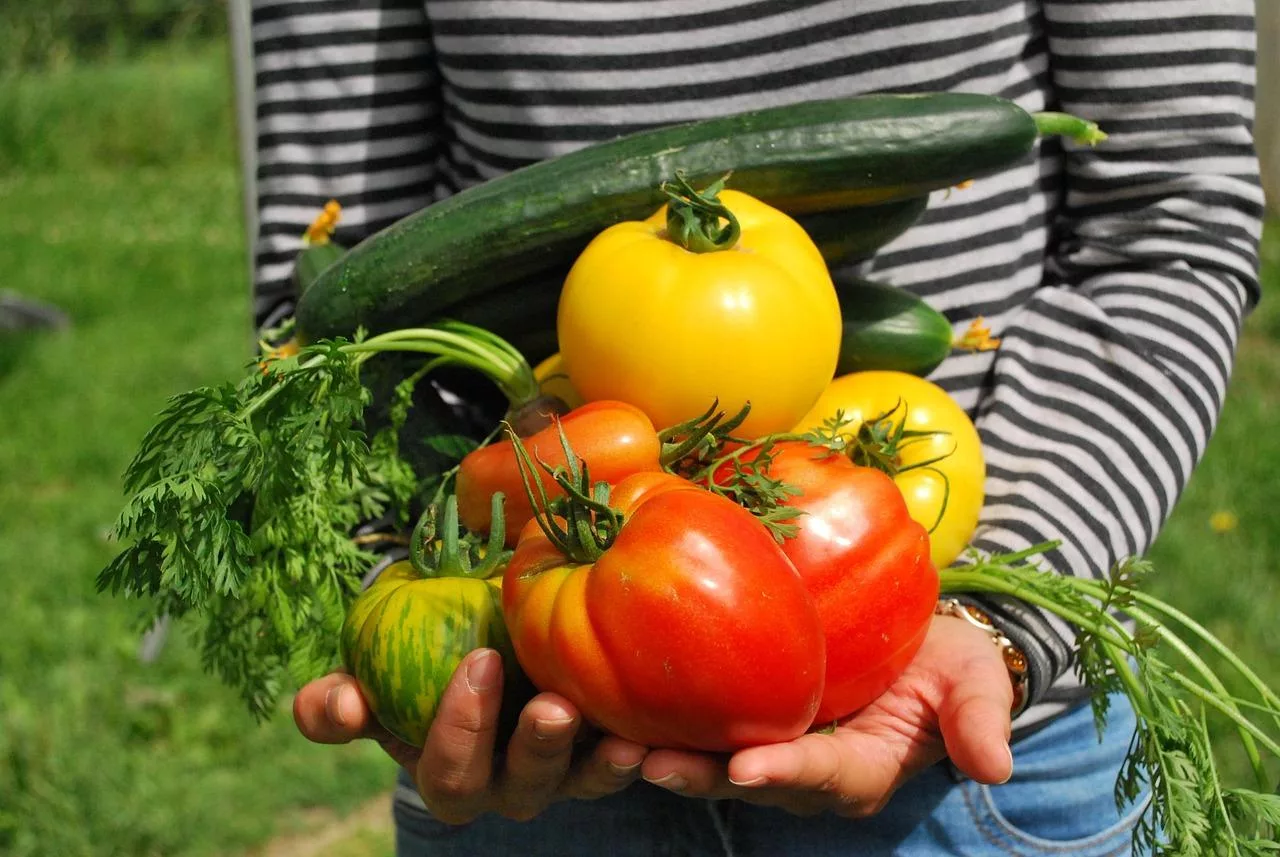 10 Easy Tips for Growing Your Own Vegetables: 